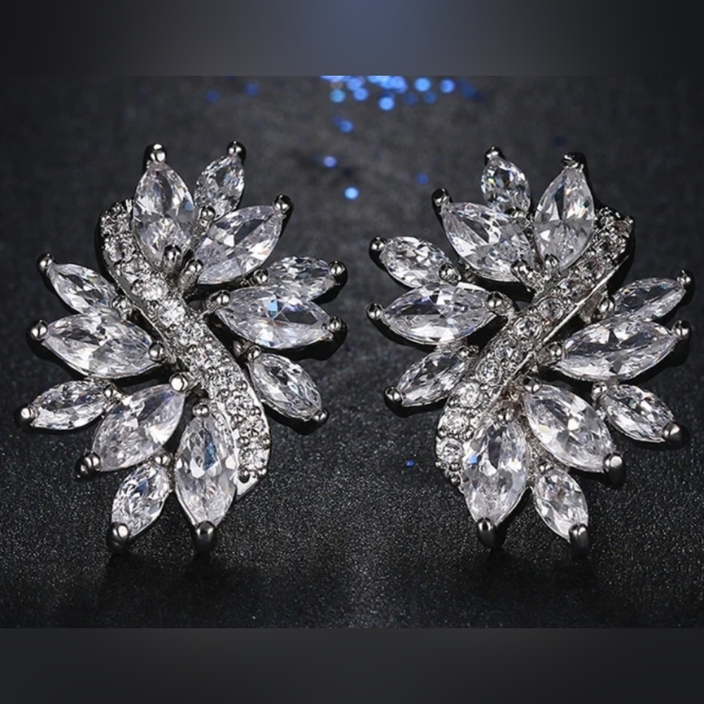 Fashion Jewelry Gorgeous Earrings